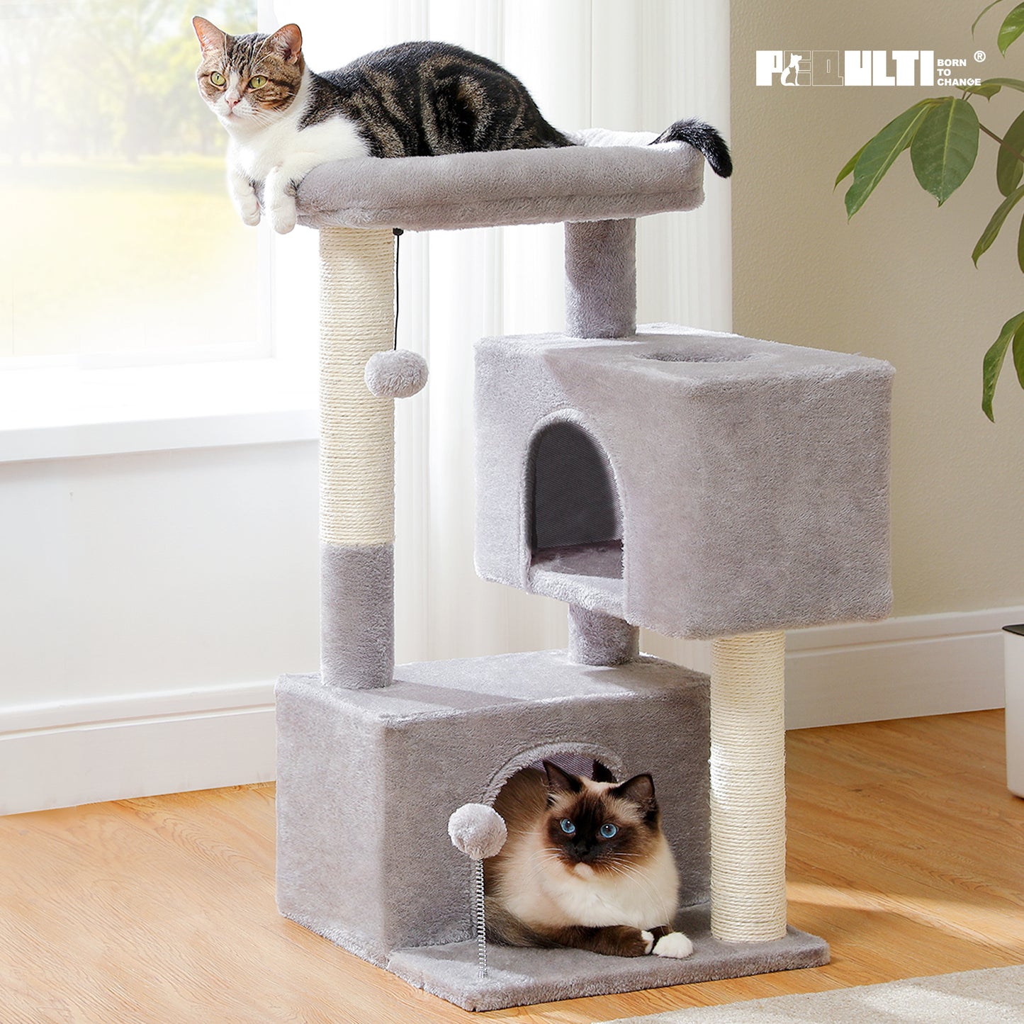 Albero per gatti PAWZ Road da 80 cm – con 2 cucce | tiragraffi in sisal a più livelli | area di riposo imbottita | inclusi 2 giocattoli