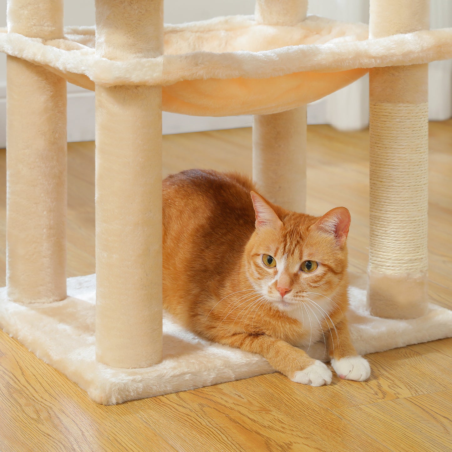Anti-tip kit: PAWZ Road cat tree - metal hammock + multi-level platforms 50×43cm XXL base (for 2-3 cats)