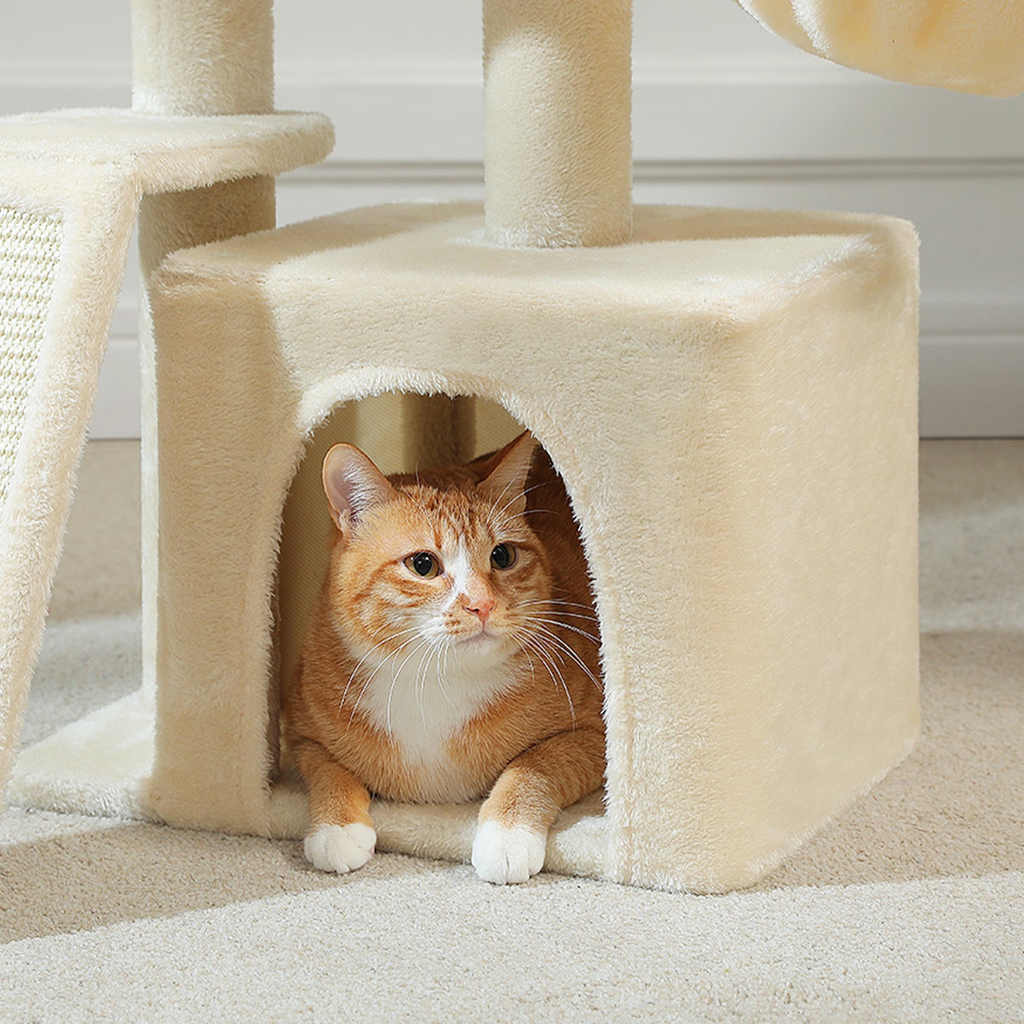 PAWZ Road Gotischer Katzenbaum für Wohnungskatzen – 80 cm kleiner Blumen-Kratzturm mit Sisal-Kratzrampe | kuscheliger Hängematte & abnehmbarer Blumen-Schlafplattform für Kätzchen