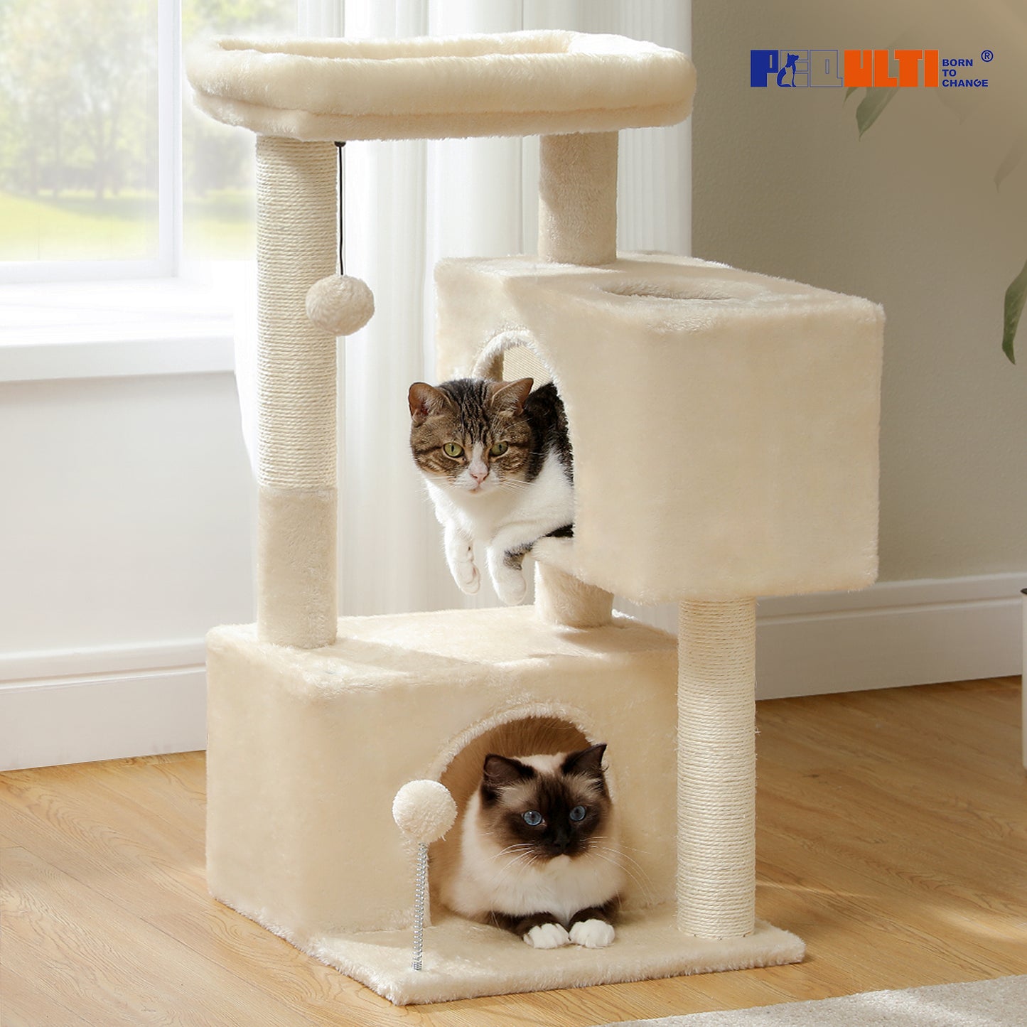 Albero per gatti PAWZ Road da 80 cm – con 2 cucce | tiragraffi in sisal a più livelli | area di riposo imbottita | inclusi 2 giocattoli