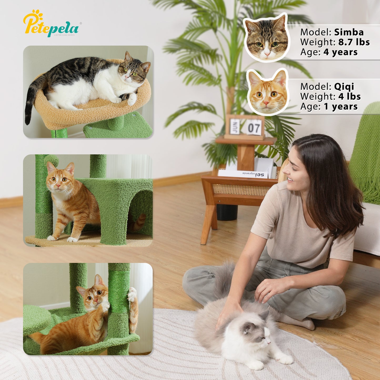 PAWZ Road 116 cm Katzenbaum mittelgroßer Kratzturm mit 4 Sisal-Kratzpfosten, Metallrahmen großer Hängematte und gemütlichem Schlafhaus, Aktivitätszentrum stabil und robust