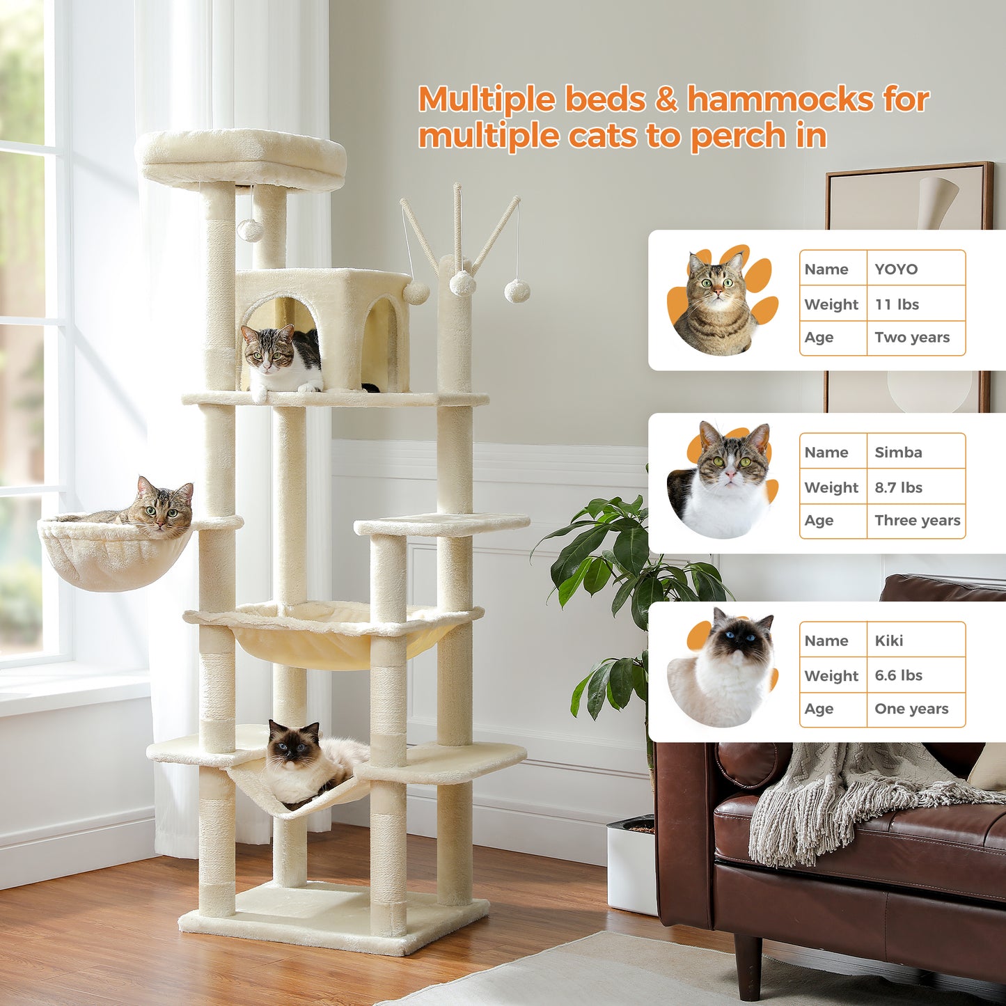 Torre per gatti PAWZ Road Premium da 180 cm | Per gatti di grandi dimensioni da interno