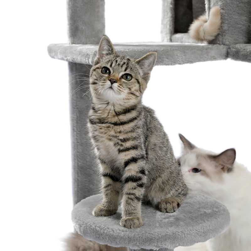 PAWZ Road Cat Tree - Luxury Plush Cat House + Hammock | Sisal Scratching Post + Viewing Platform