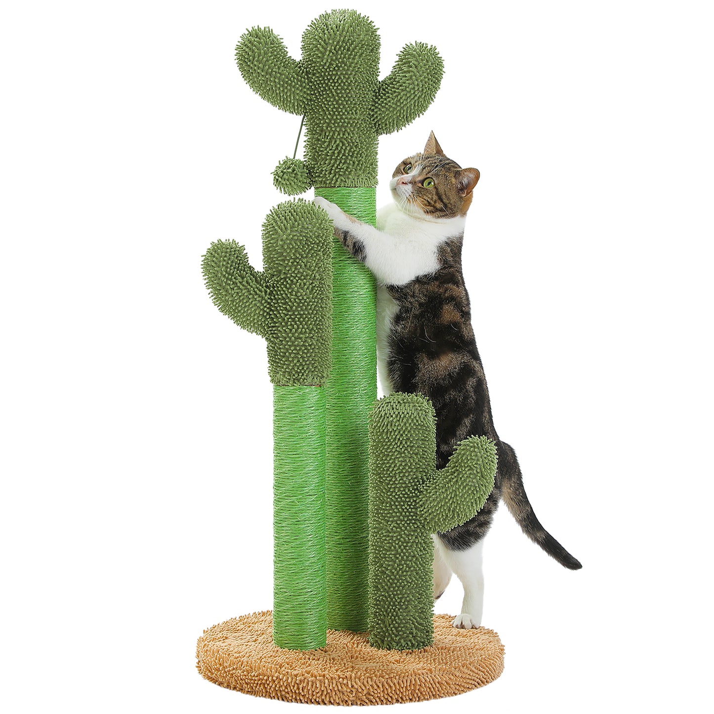 TOP DEAL | PAWZ Road Kakteen-Kratzsäulen- Größe M-53CM|L-68.5CM | Anti-Rutsch-Design (Tragkraft 20kg/4 Katzen)