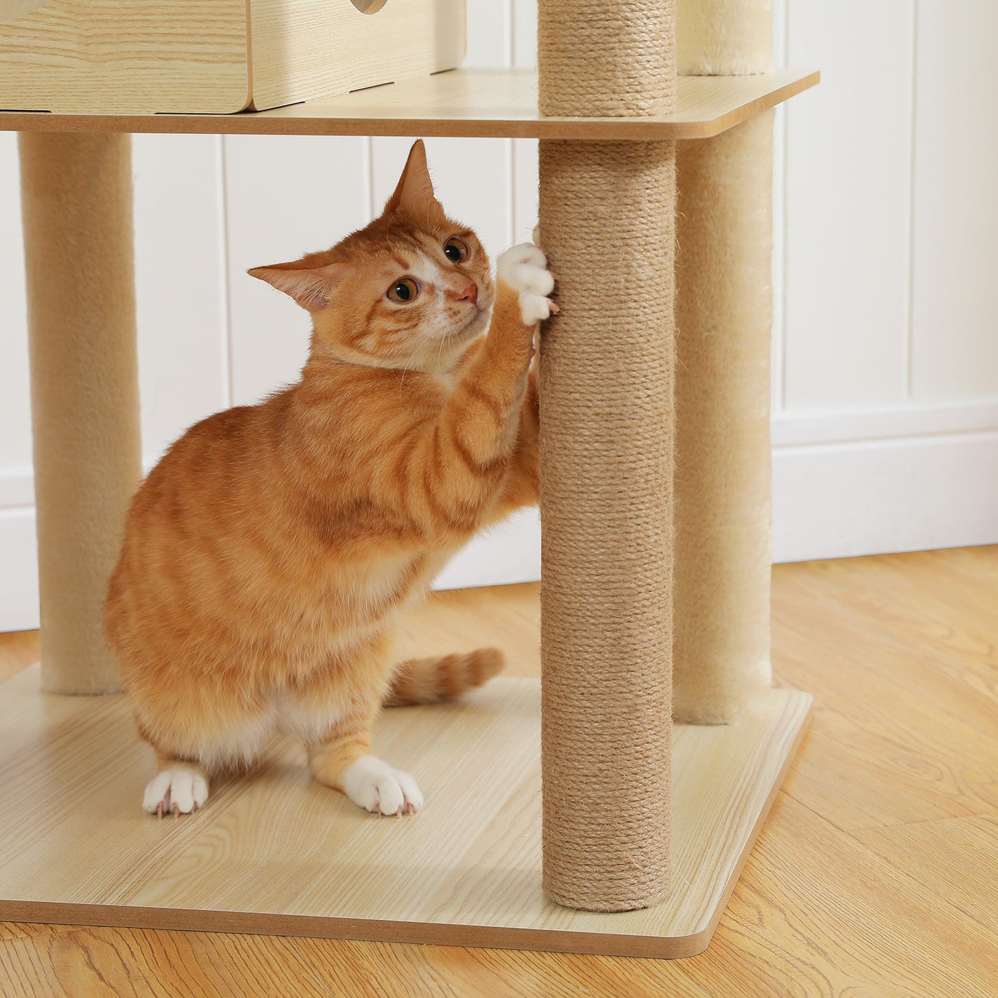 PAWZ Road Großer Katzenbaum 180 cm – Holz-Kratzturm mit Acryl-Kugelnestern | Kratzsäulen & XL-Schlafplattform für große Katzen