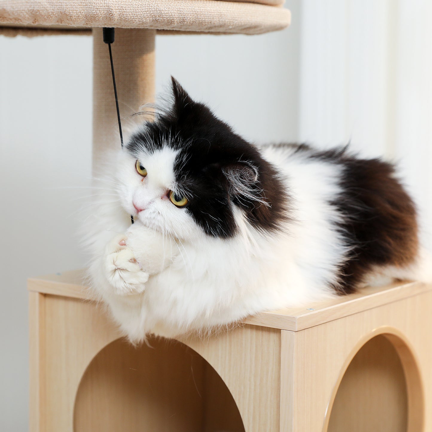 PETEPELA Arbre à chats en bois pour chats d'appartement - Tour à plusieurs niveaux avec poteaux de grattage en sisal, maison de repos confortable, hamac XXL et plateformes douillettes en pelage de lapin en tissu (beige)