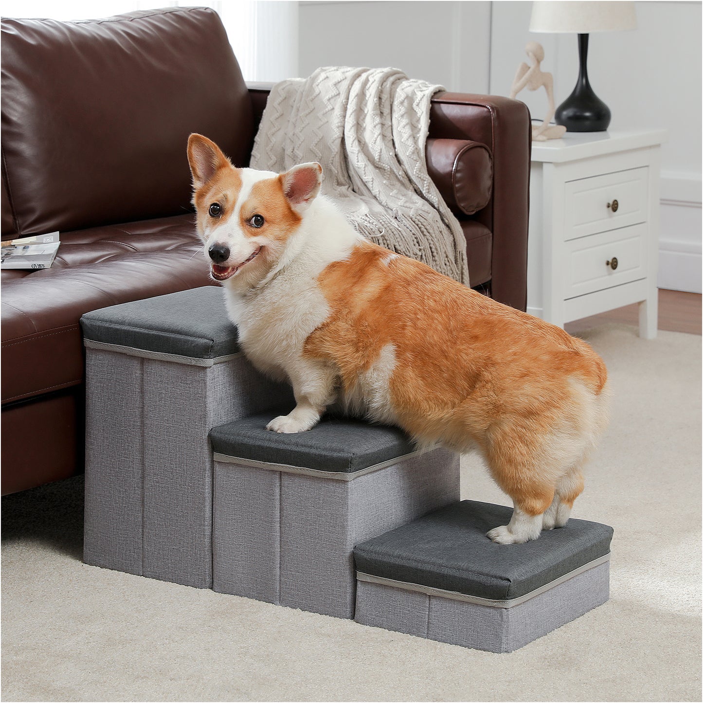 PETEPELA escaleras para perros con 3 compartimentos de almacenamiento – Plegable | escalera de seguridad antideslizante para perros y gatos | 3 niveles