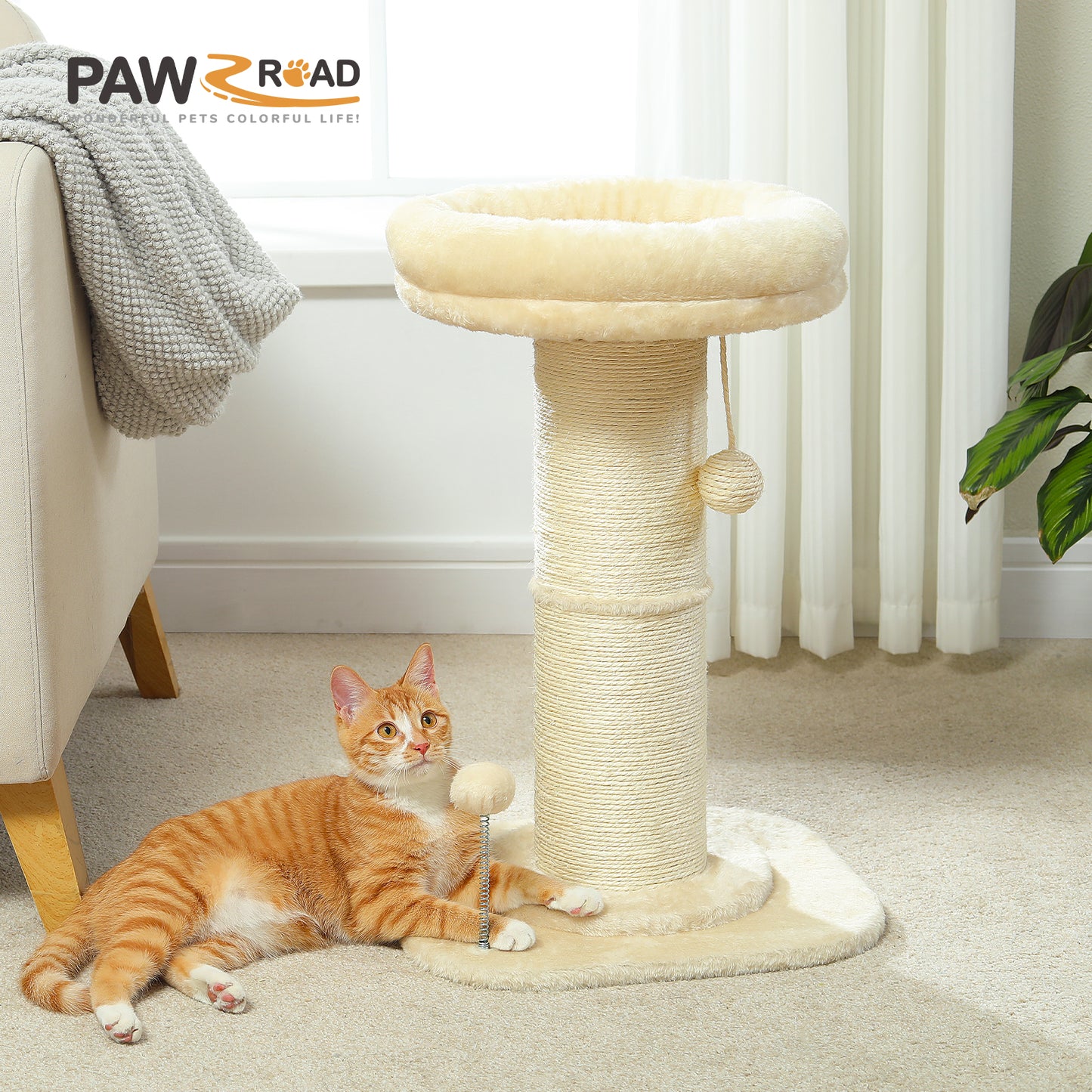PAWZ Road | Klassisches Kratzbrett für Katzen | 60 cm