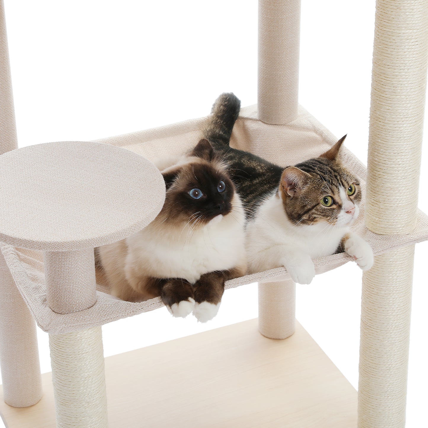 PETEPELA Arbre à chats en bois pour chats d'appartement - Tour à plusieurs niveaux avec poteaux de grattage en sisal, maison de repos confortable, hamac XXL et plateformes douillettes en pelage de lapin en tissu (beige)