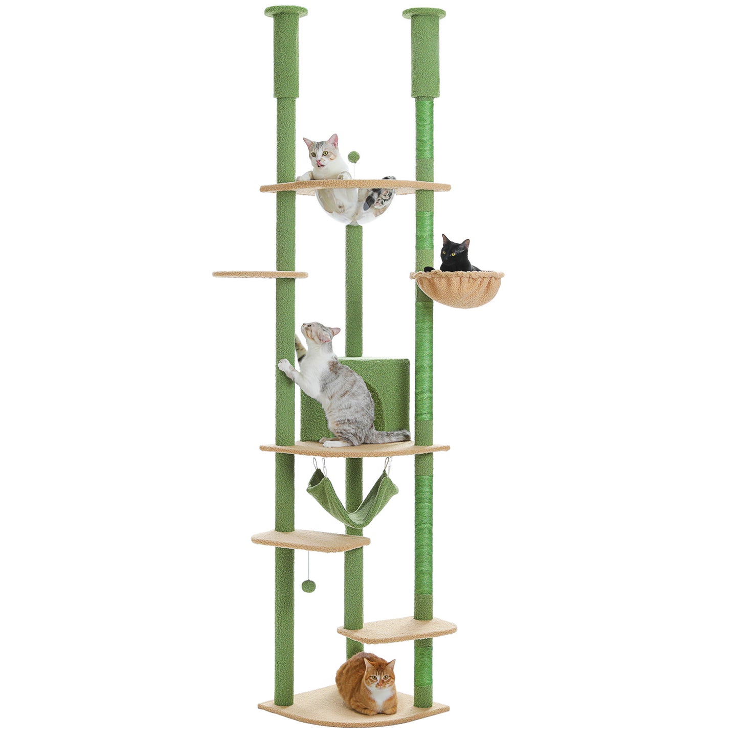 PAWZ Road - Hamac spatiale arbre à chats - Nid transparent acrylique + Plateforme tournante ronde|Poteaux en sisal + Sangles anti-renversement