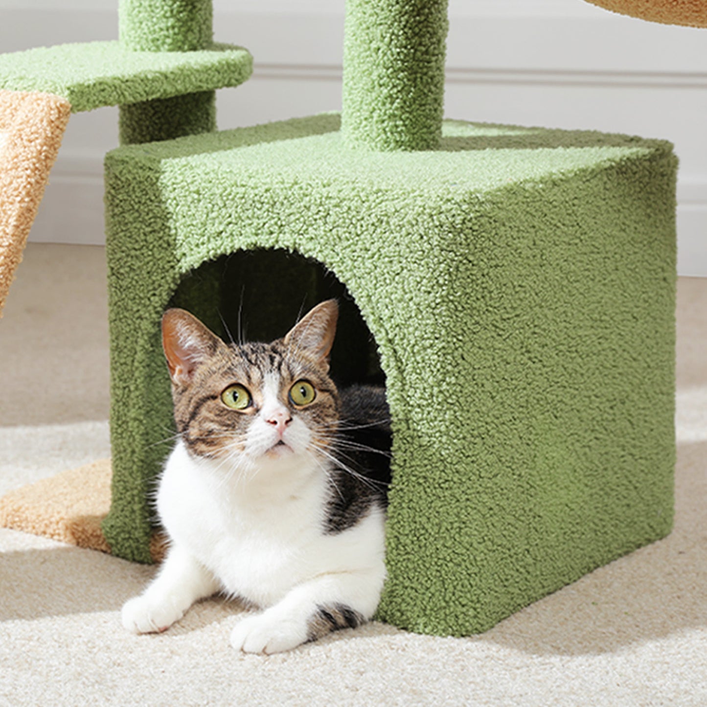 PAWZ Road Gotischer Katzenbaum für Wohnungskatzen – 80 cm kleiner Blumen-Kratzturm mit Sisal-Kratzrampe | kuscheliger Hängematte & abnehmbarer Blumen-Schlafplattform für Kätzchen