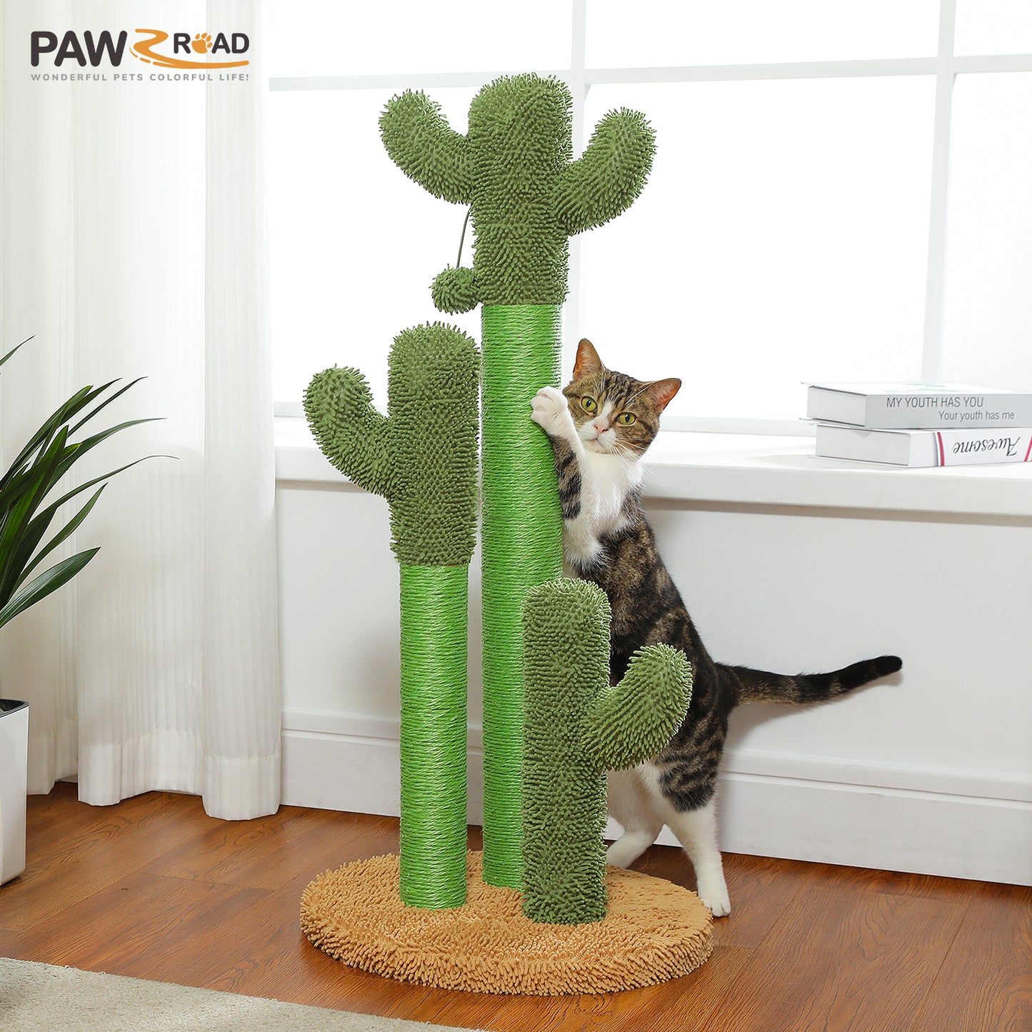 TOP DEAL | PAWZ Road Kakteen-Kratzsäulen- Größe M-53CM|L-68.5CM | Anti-Rutsch-Design (Tragkraft 20kg/4 Katzen)