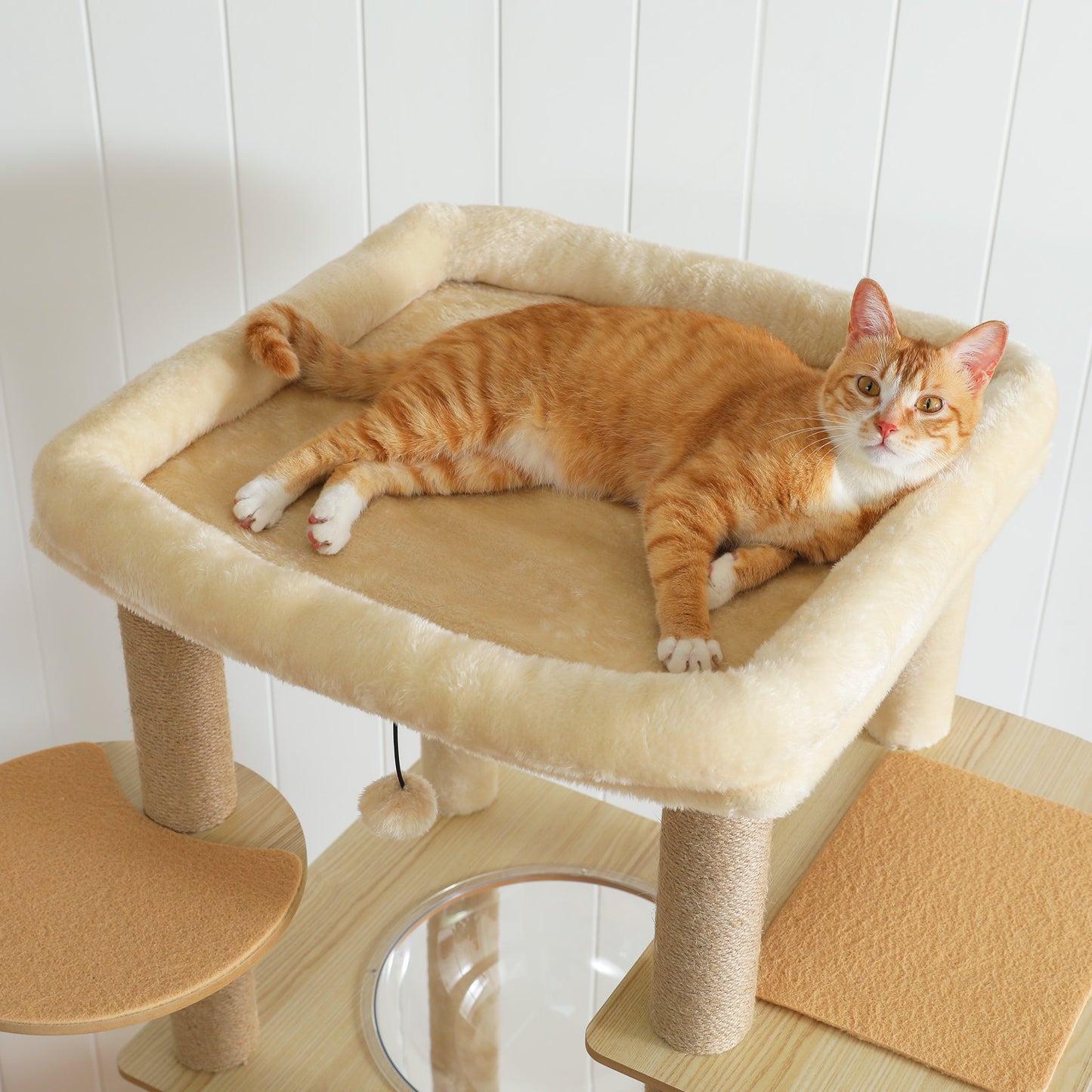 PAWZ Road Großer Katzenbaum 180 cm – Holz-Kratzturm mit Acryl-Kugelnestern | Kratzsäulen & XL-Schlafplattform für große Katzen