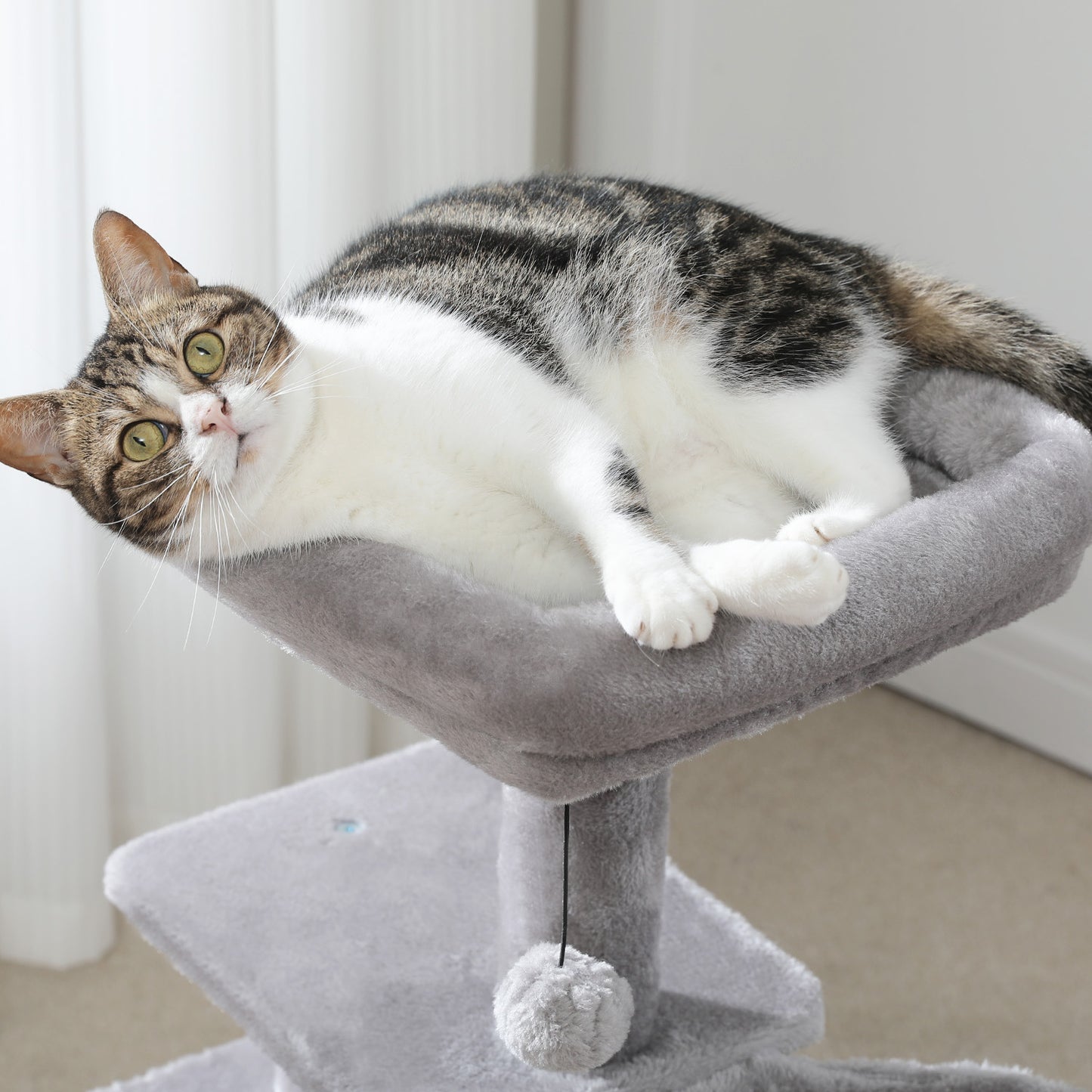 PAWZ Road Gotischer Katzenbaum für Wohnungskatzen – 80 cm kleiner Blumen-Kratzturm mit Sisal-Kratzrampe | kuscheliger Hängematte & abnehmbarer Blumen-Schlafplattform für Kätzchen