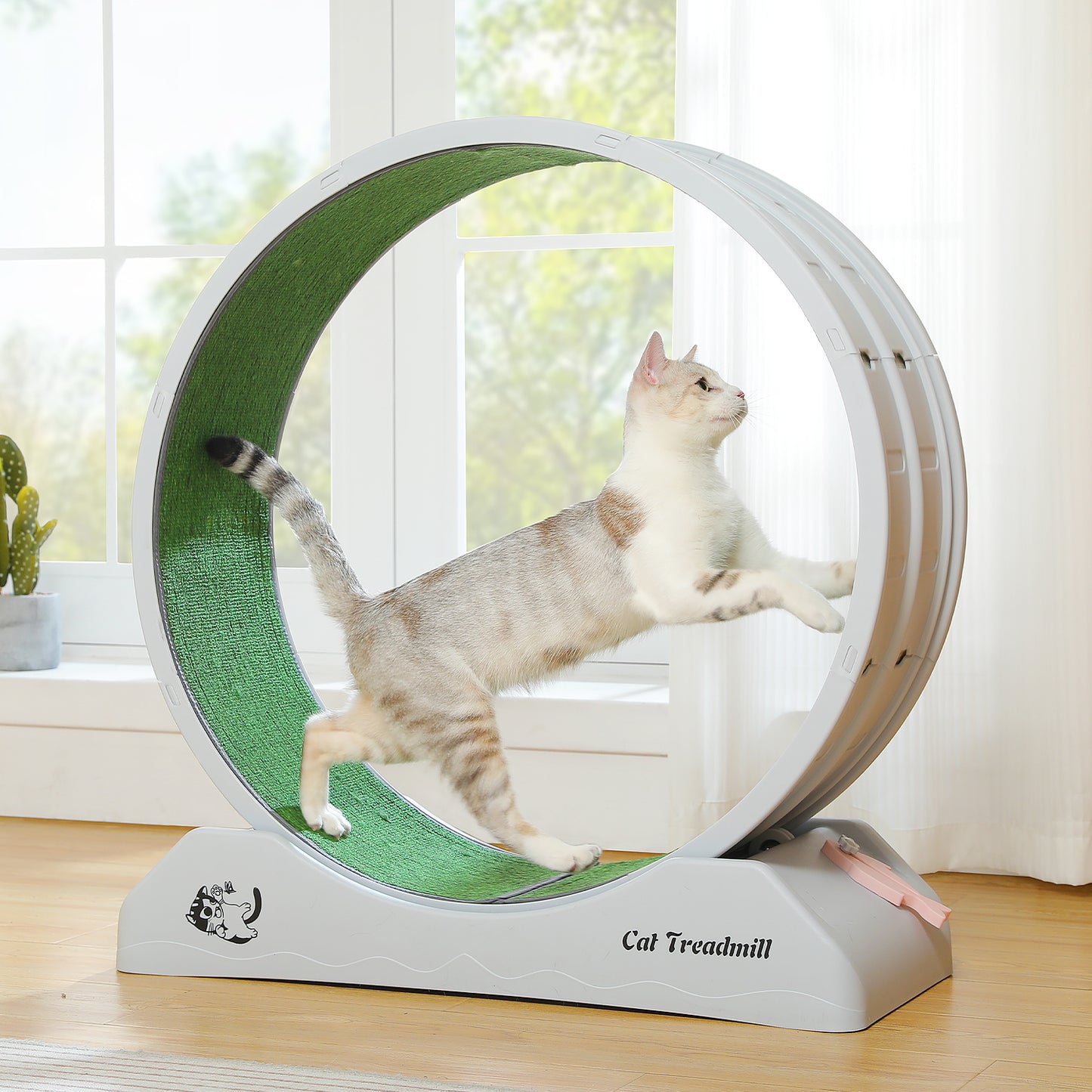 PAWZ Road - Leises Katzenlaufrad | Großzügiger 75 cm Durchmesser | Rutschfeste, geschliffene Lauffläche | Bewegungsmangelausgleich für Katzen | Einfache Montage