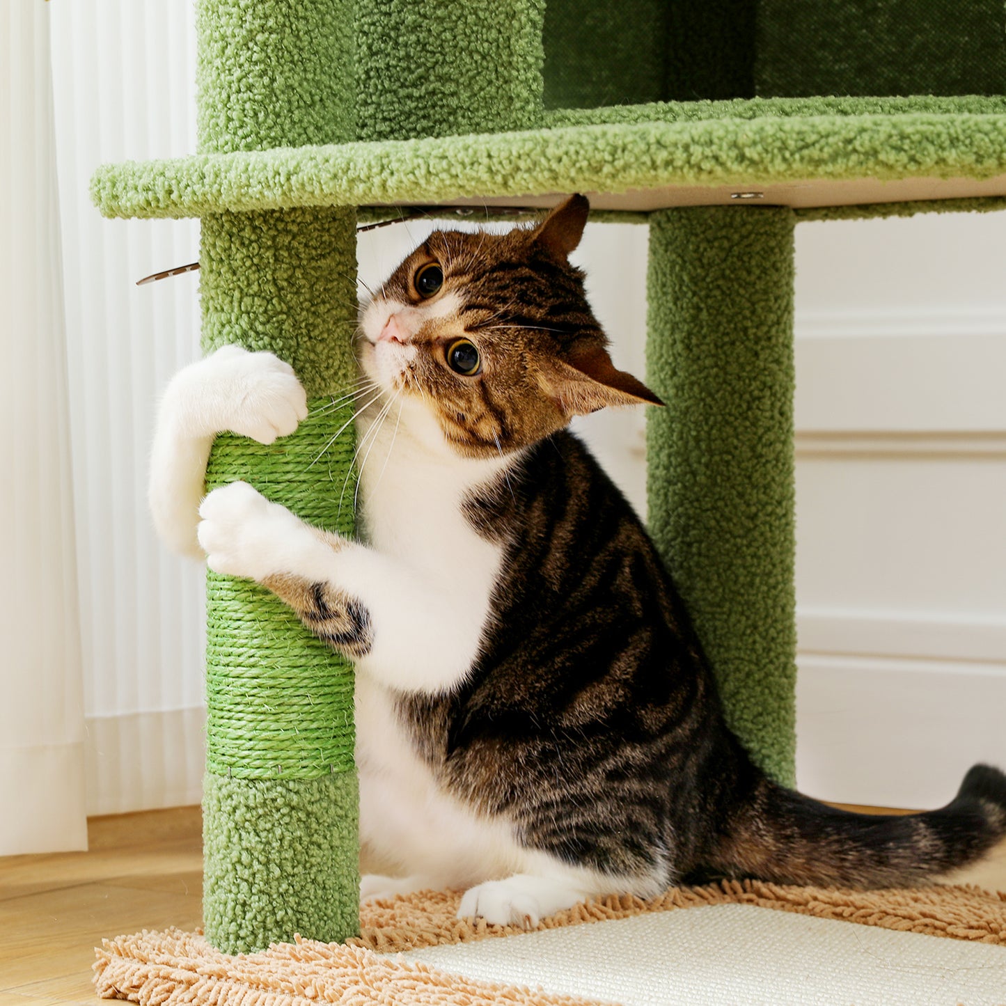 PAWZ Road Kratzbaum | mit Sisal-Kratzpfosten | Kratzbrett | große kuschelige Katzenhöhle | Korb und Plattform | Höhe 106 cm | Kaktus-Design