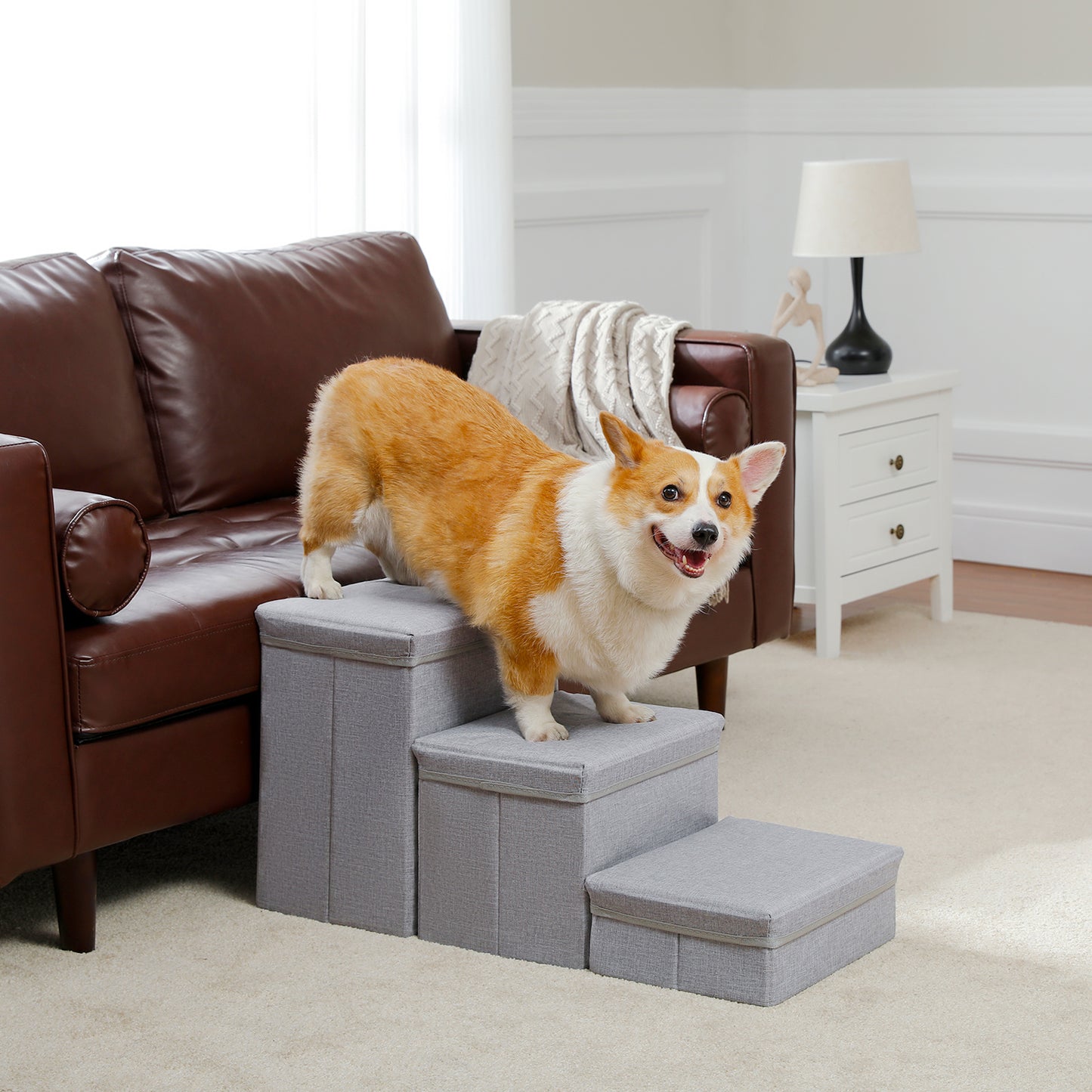 PETEPELA escaleras para perros con 3 compartimentos de almacenamiento – Plegable | escalera de seguridad antideslizante para perros y gatos | 3 niveles