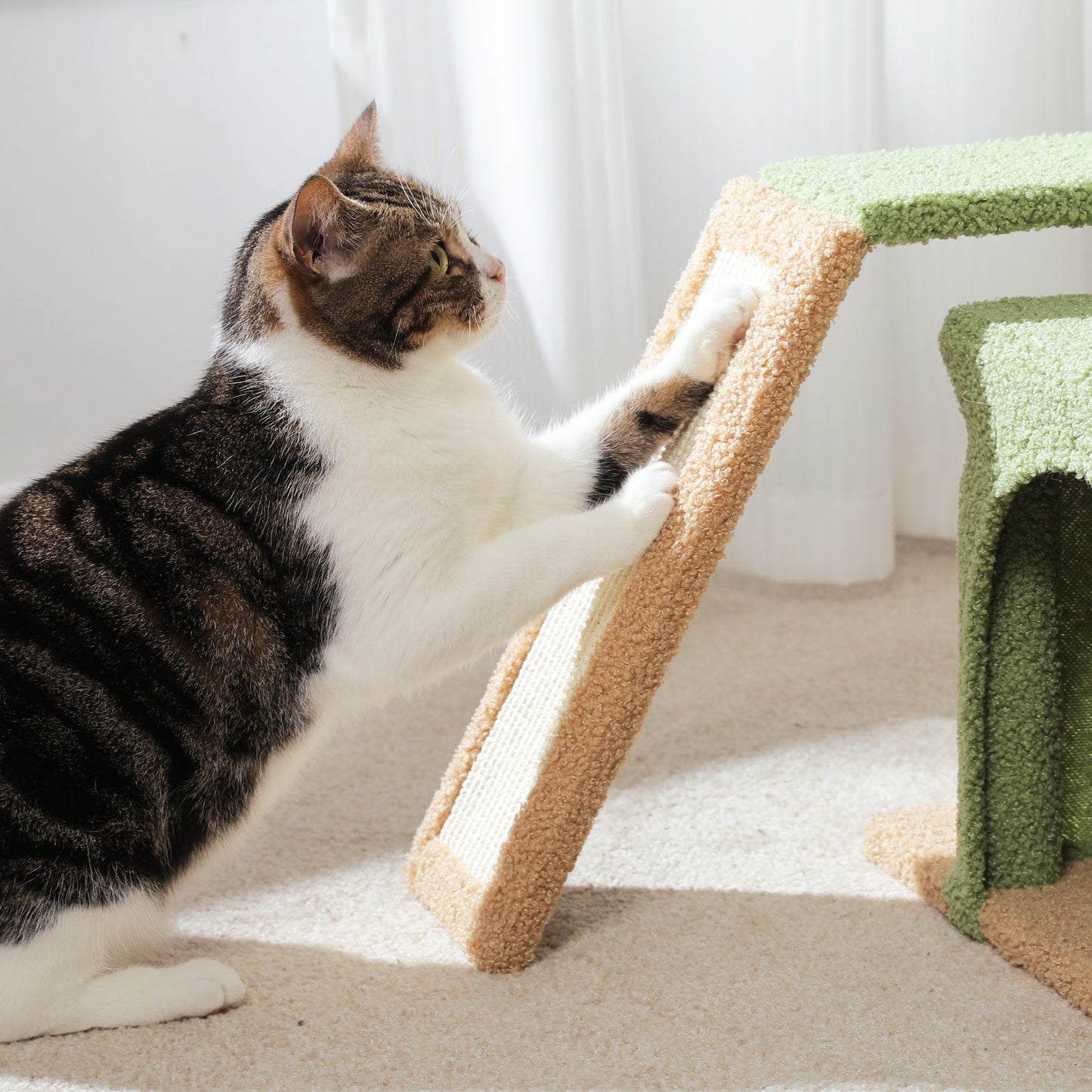 PAWZ Road Gotischer Katzenbaum für Wohnungskatzen – 80 cm kleiner Blumen-Kratzturm mit Sisal-Kratzrampe | kuscheliger Hängematte & abnehmbarer Blumen-Schlafplattform für Kätzchen