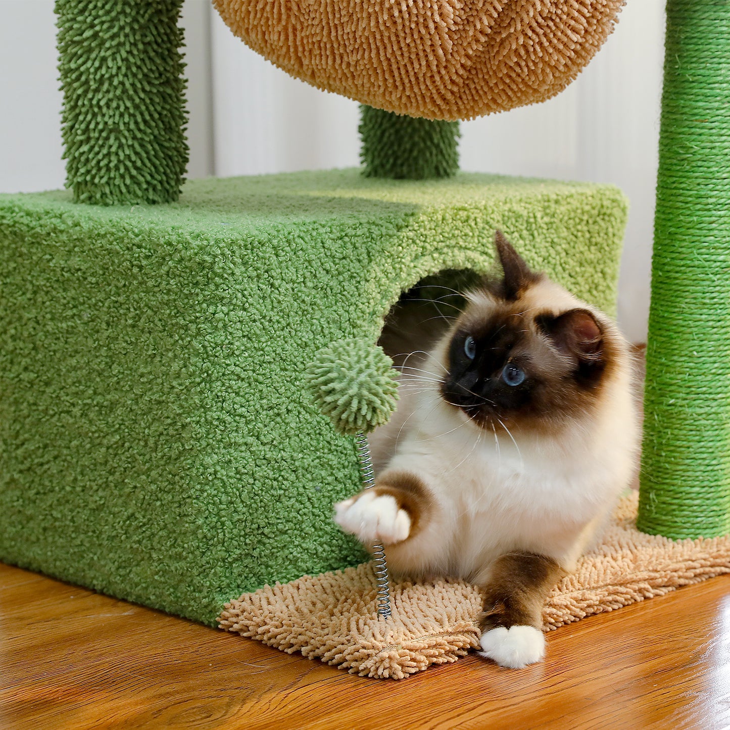 PAWZ Road 4-in-1 Kaktus-Katzenbaum | 84 cm Katzenturm | mit XXL-Schlafhaus | Sisalpfosten | Tiefe Hängematte | Aussichtsplattform