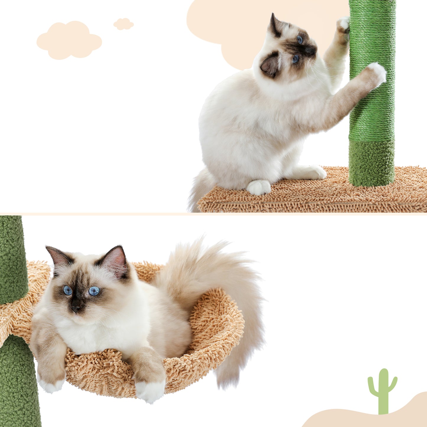 PAWZ Road Kaktus-Katzenkratzbaum | Deckenstütz-System | Höhenverstellbar (241-274 cm) | Mit Sisal-Kratzsäulen | Ideal für Großkatzen