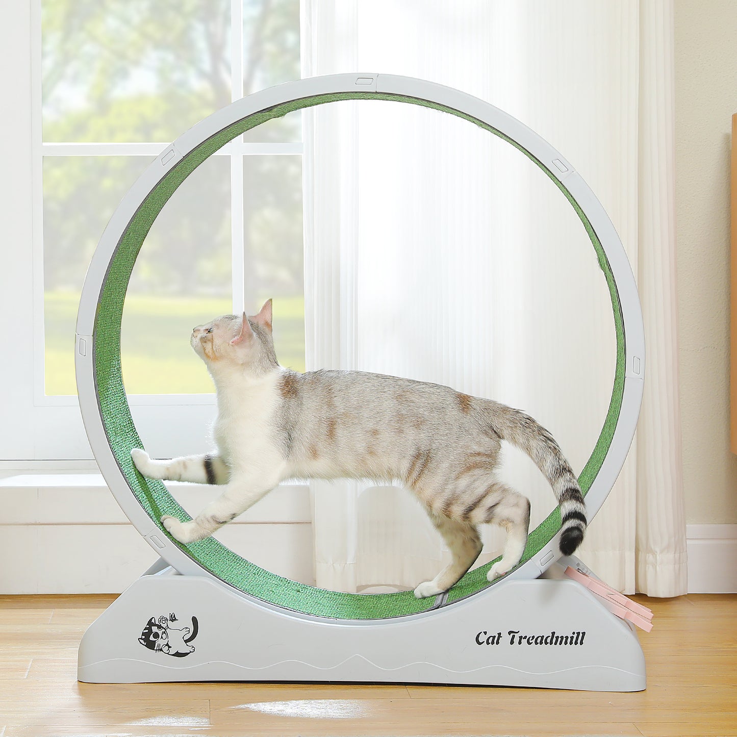 PAWZ Road - Ruota per esercizi silenziosa per gatti | Ampio diametro di 75 cm | Superficie antiscivolo e levigata | Compensazione dell'attività fisica per gatti | Facile da montare