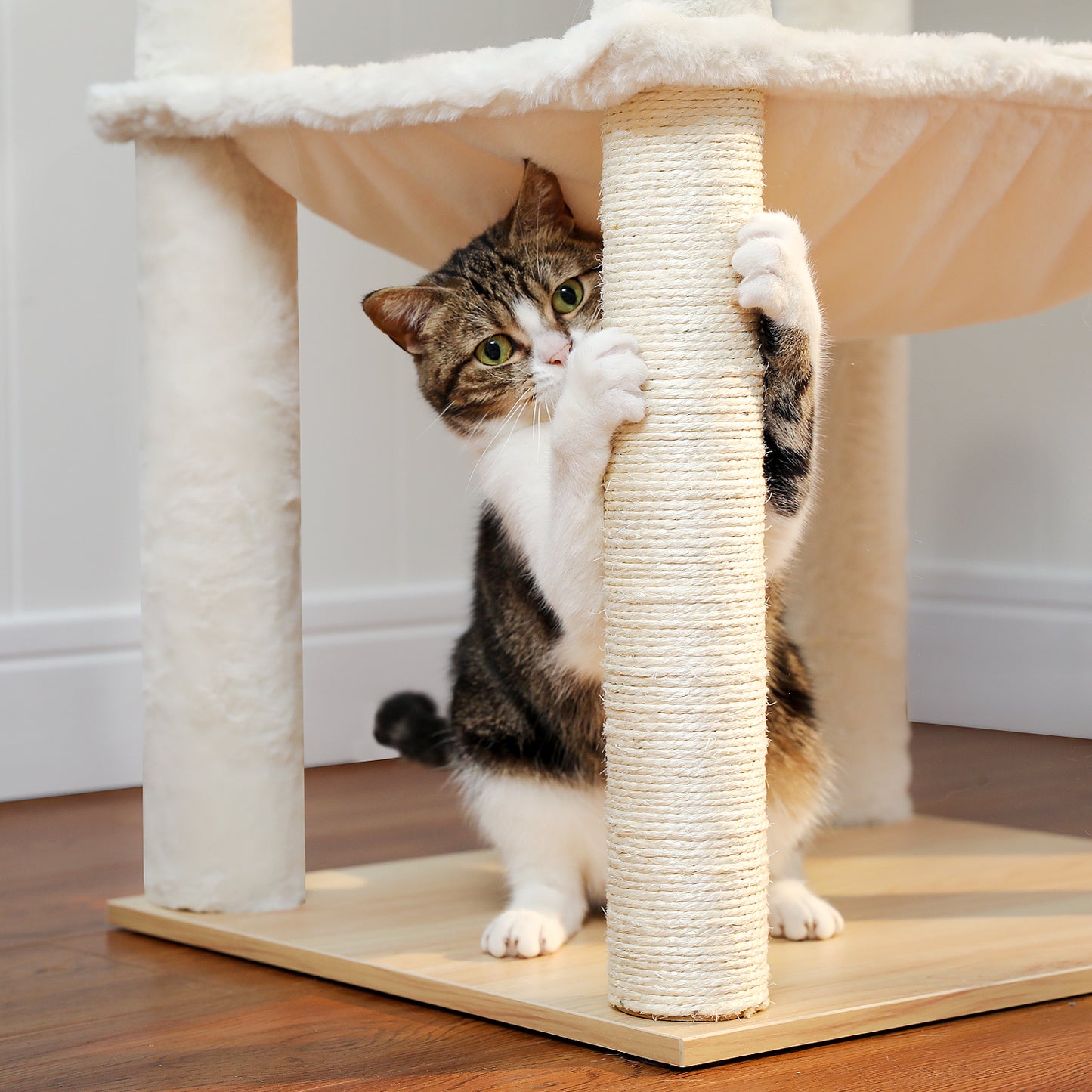 PETEPELA Arbre à chats en bois pour chats d'appartement - Tour à plusieurs niveaux avec poteaux de grattage en sisal, maison de repos confortable, hamac XXL et plateformes douillettes en pelage de lapin en tissu (beige)