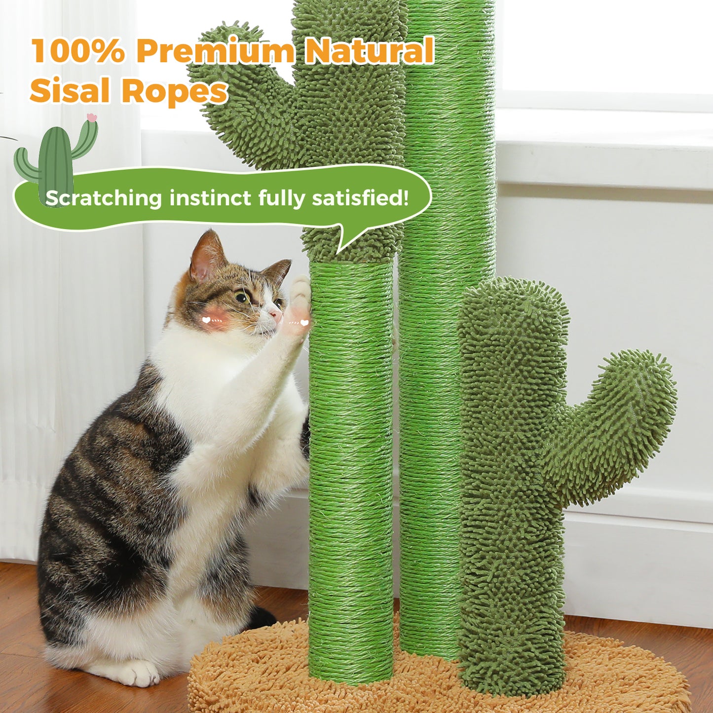 TOP DEAL | PAWZ Road Kakteen-Kratzsäulen- Größe M-53CM|L-68.5CM | Anti-Rutsch-Design (Tragkraft 20kg/4 Katzen)