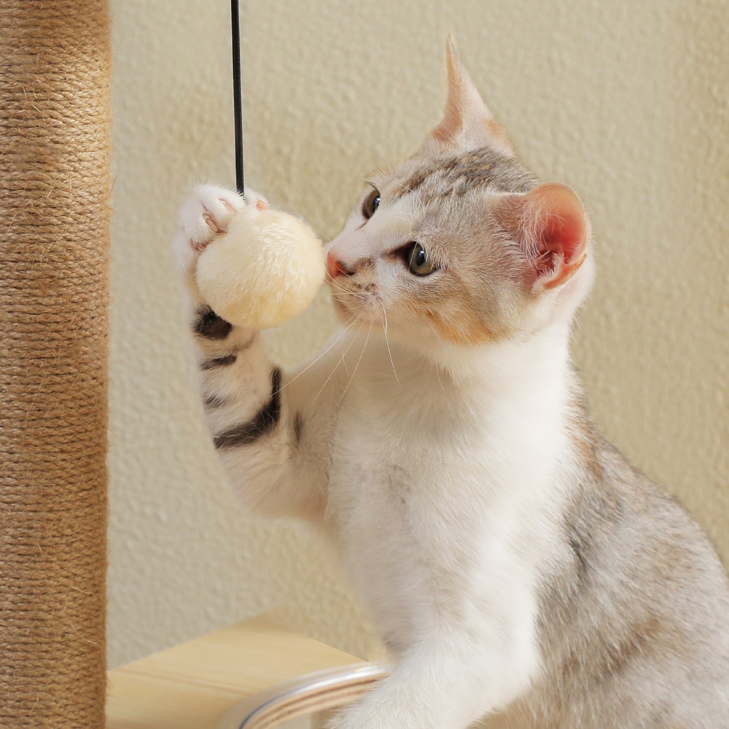 PAWZ Road Kratzbaum | Boden-Decken-Höhenverstellung | Mit XXL-Kratzpfosten (10,4 cm) & Acryl-Versteck