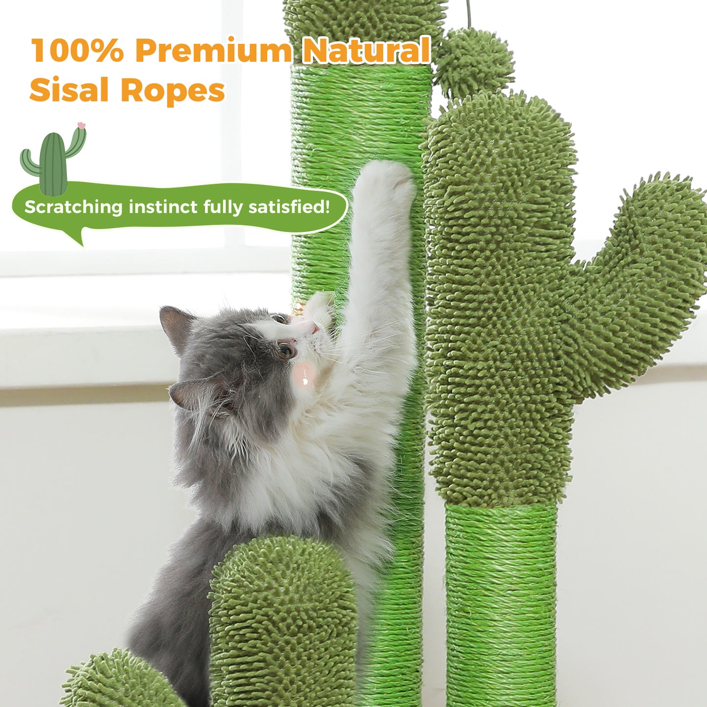 TOP DEAL | PAWZ Road Kakteen-Kratzsäulen- Größe M-53CM|L-68.5CM | Anti-Rutsch-Design (Tragkraft 20kg/4 Katzen)