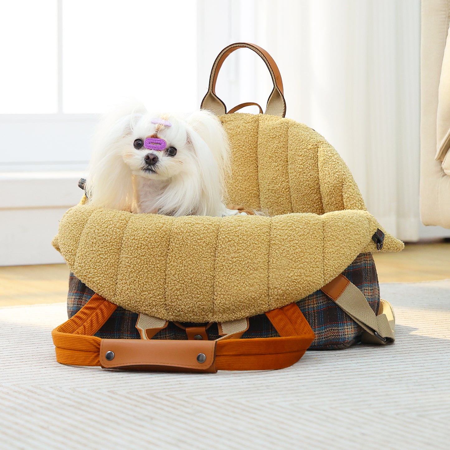PAWZ Road 4-in-1 Travel Carrier