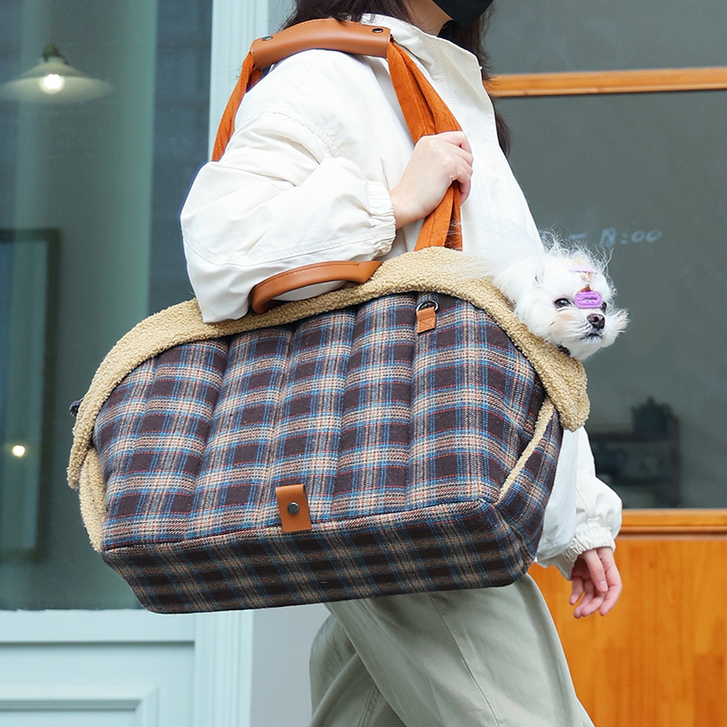 PAWZ Road 4-in-1 Travel Carrier