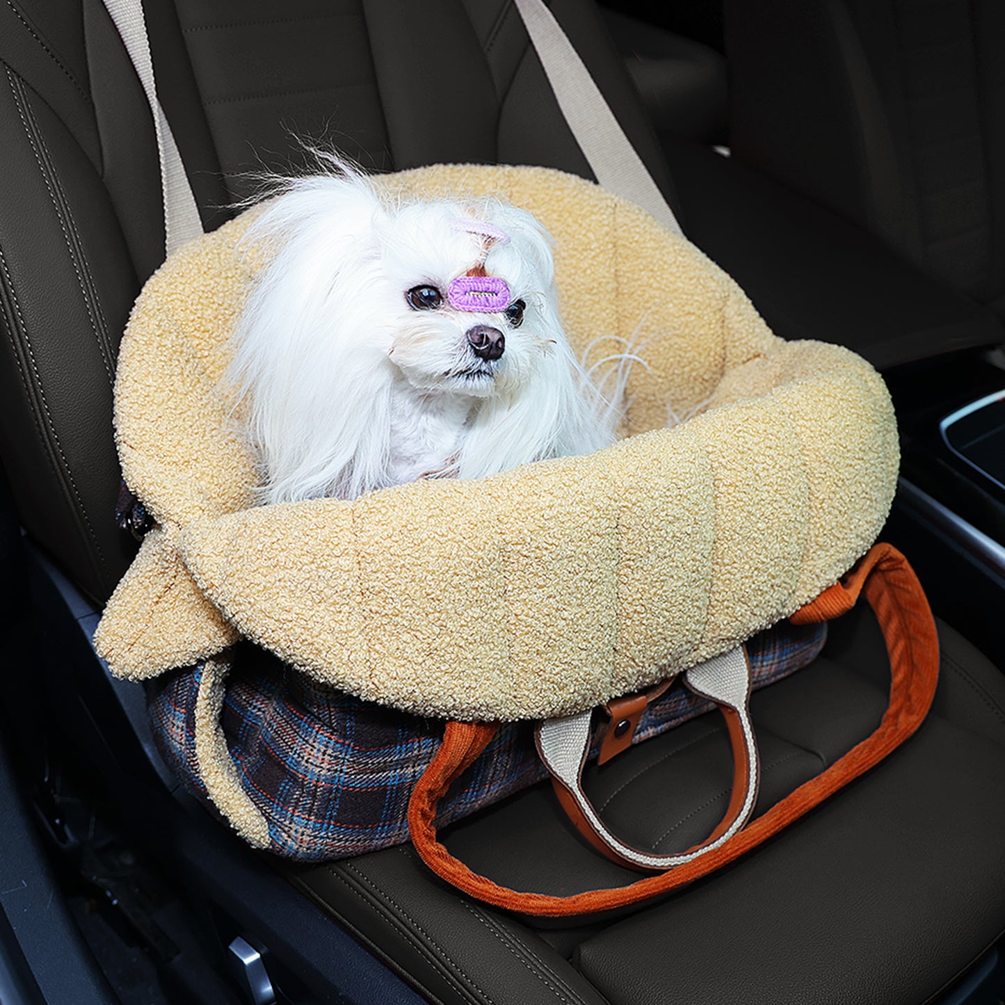 PAWZ Road 4-in-1 Travel Carrier