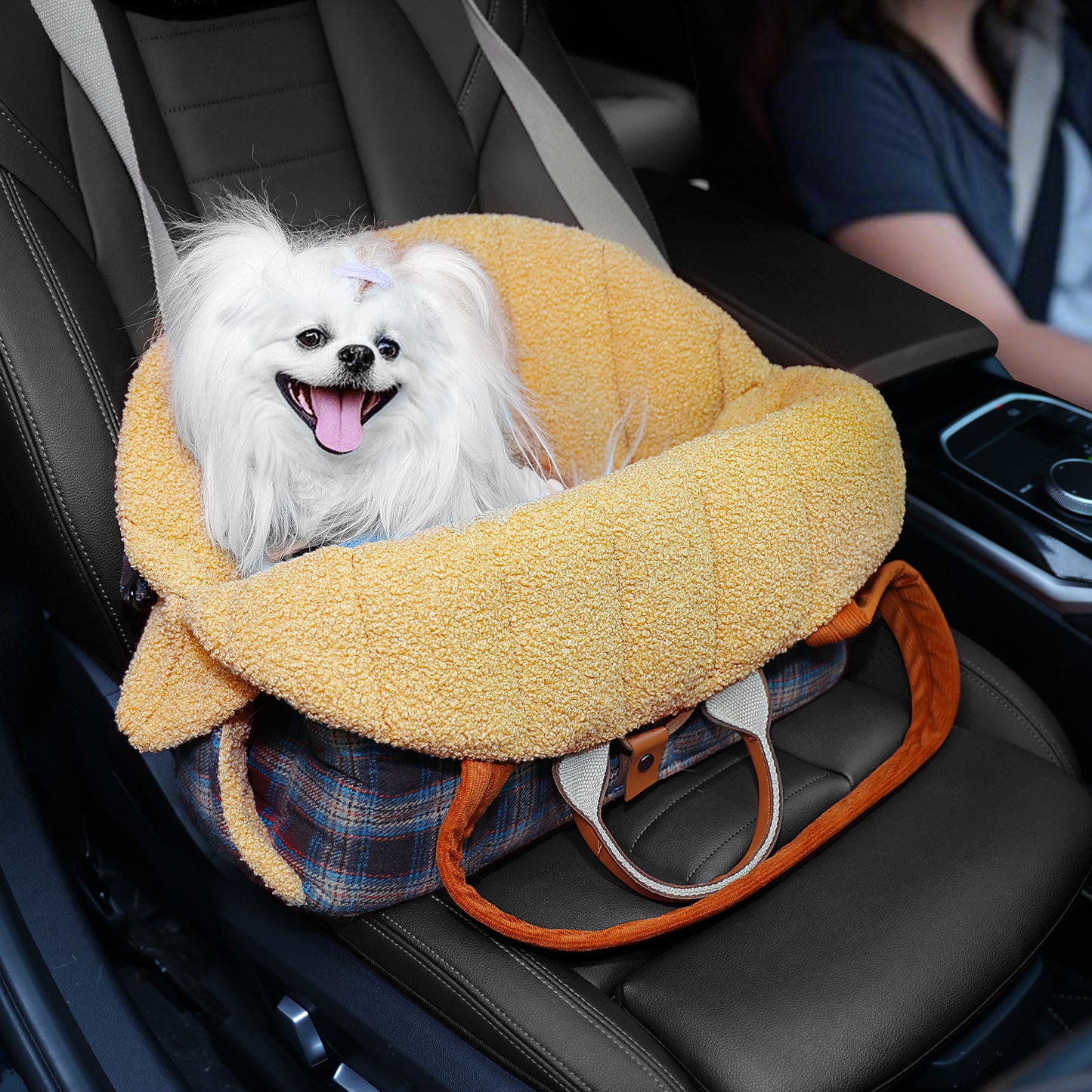 PAWZ Road 4-in-1 Travel Carrier