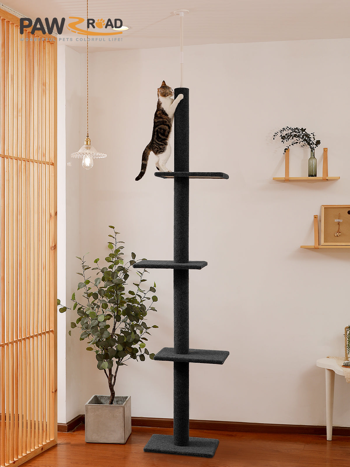 PAWZ Road Kratzbaum – Dreistöckiger Decken-zu-Boden Kletterturm für Katzen | Katzen-Aktivitätszentrum | 2,7 Meter