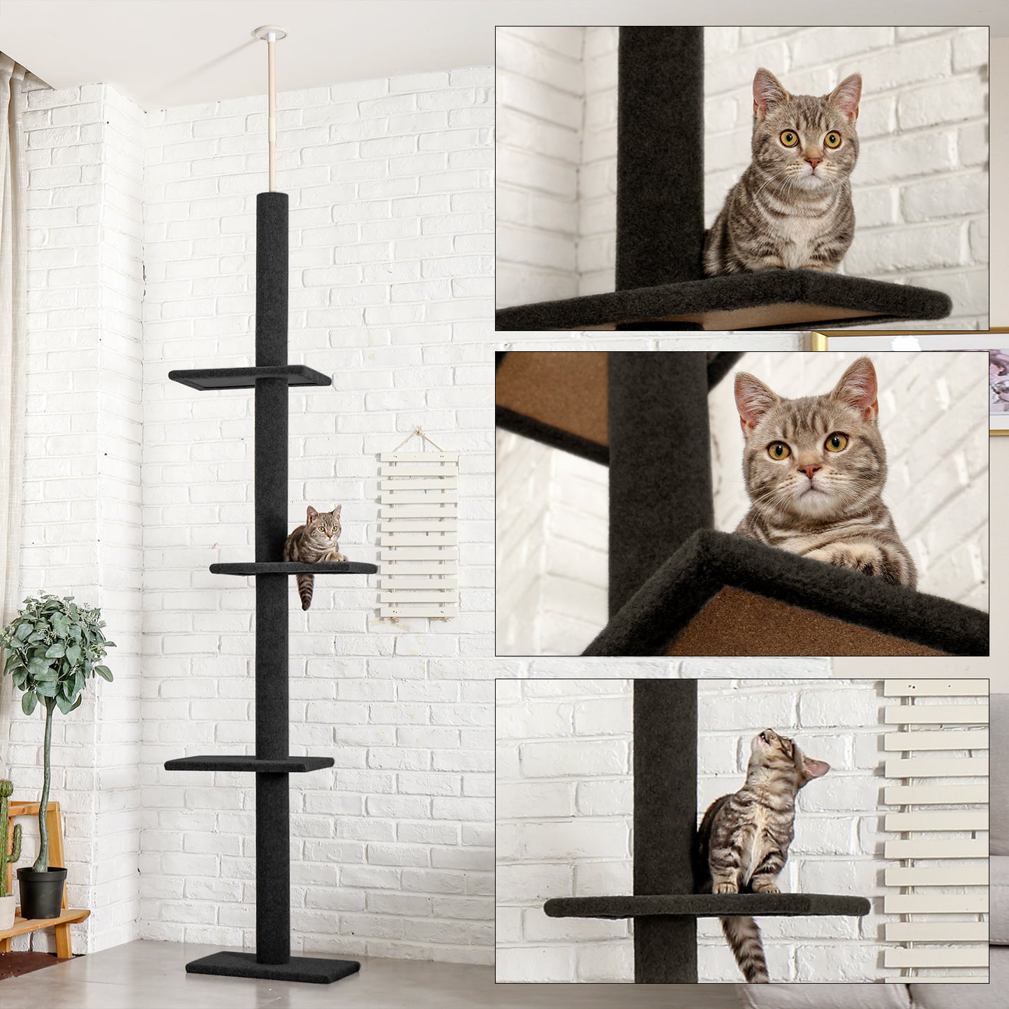 PAWZ Road Kratzbaum – Dreistöckiger Decken-zu-Boden Kletterturm für Katzen | Katzen-Aktivitätszentrum | 2,7 Meter