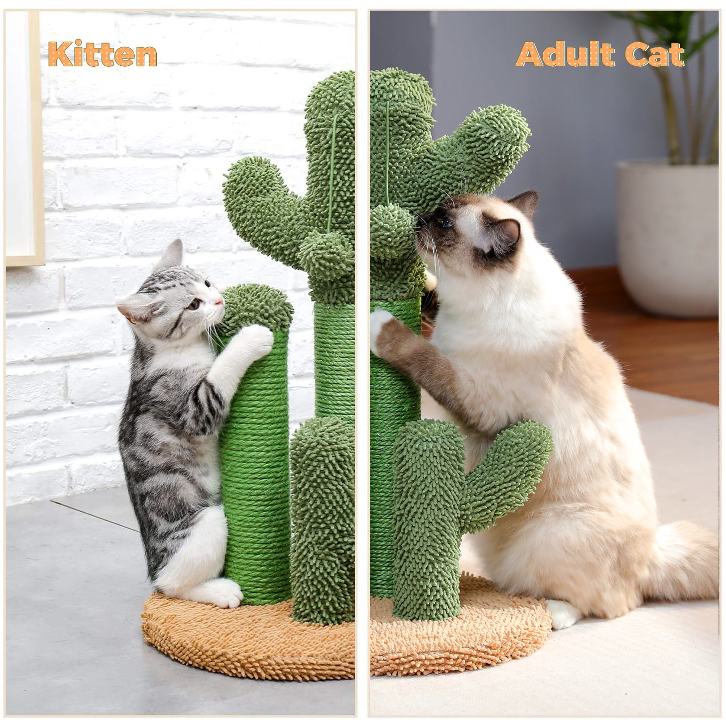 TOP DEAL | PAWZ Road Kakteen-Kratzsäulen- Größe M-53CM|L-68.5CM | Anti-Rutsch-Design (Tragkraft 20kg/4 Katzen)