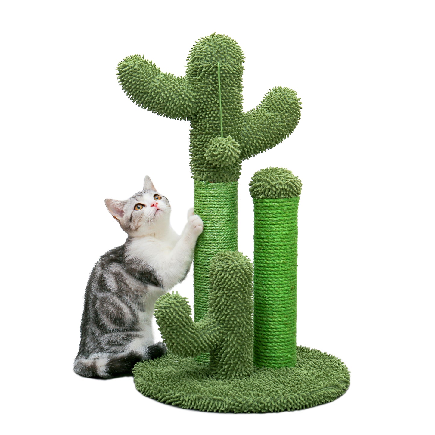 TOP DEAL | PAWZ Road Kakteen-Kratzsäulen- Größe M-53CM|L-68.5CM | Anti-Rutsch-Design (Tragkraft 20kg/4 Katzen)
