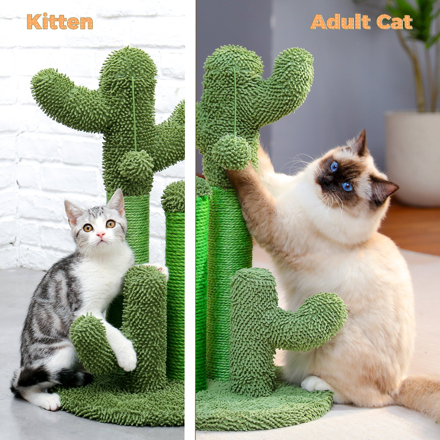 TOP DEAL | PAWZ Road Kakteen-Kratzsäulen- Größe M-53CM|L-68.5CM | Anti-Rutsch-Design (Tragkraft 20kg/4 Katzen)