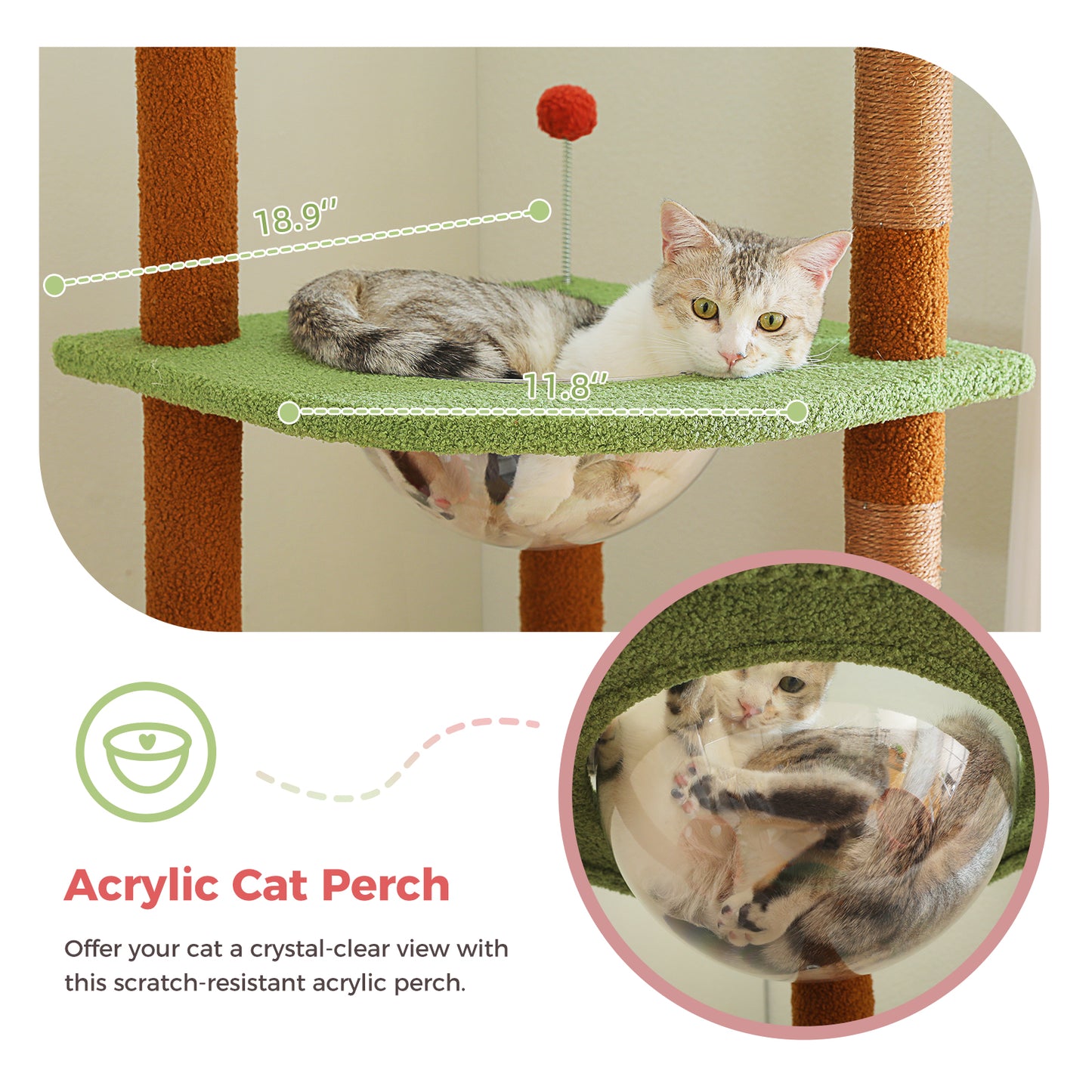 PAWZ Road - Hamac spatiale arbre à chats - Nid transparent acrylique + Plateforme tournante ronde|Poteaux en sisal + Sangles anti-renversement
