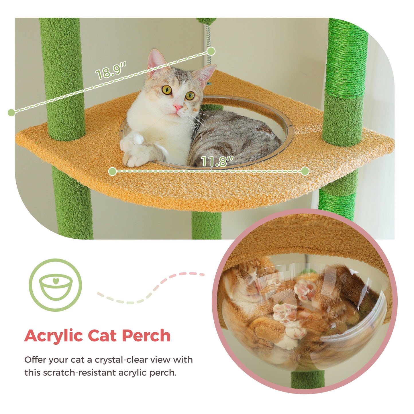 PAWZ Road - Hamac spatiale arbre à chats - Nid transparent acrylique + Plateforme tournante ronde|Poteaux en sisal + Sangles anti-renversement