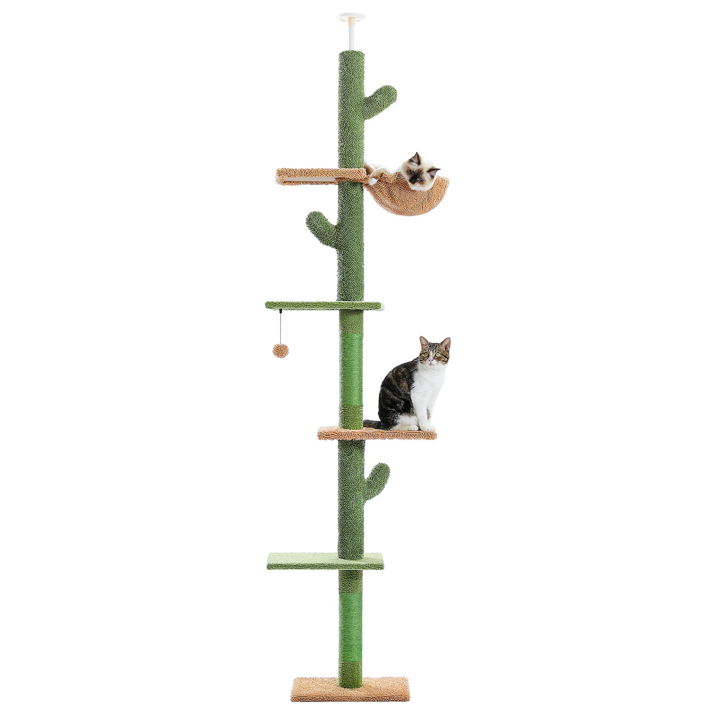 PAWZ Road Kaktus-Katzenkratzbaum | Deckenstütz-System | Höhenverstellbar (241-274 cm) | Mit Sisal-Kratzsäulen | Ideal für Großkatzen