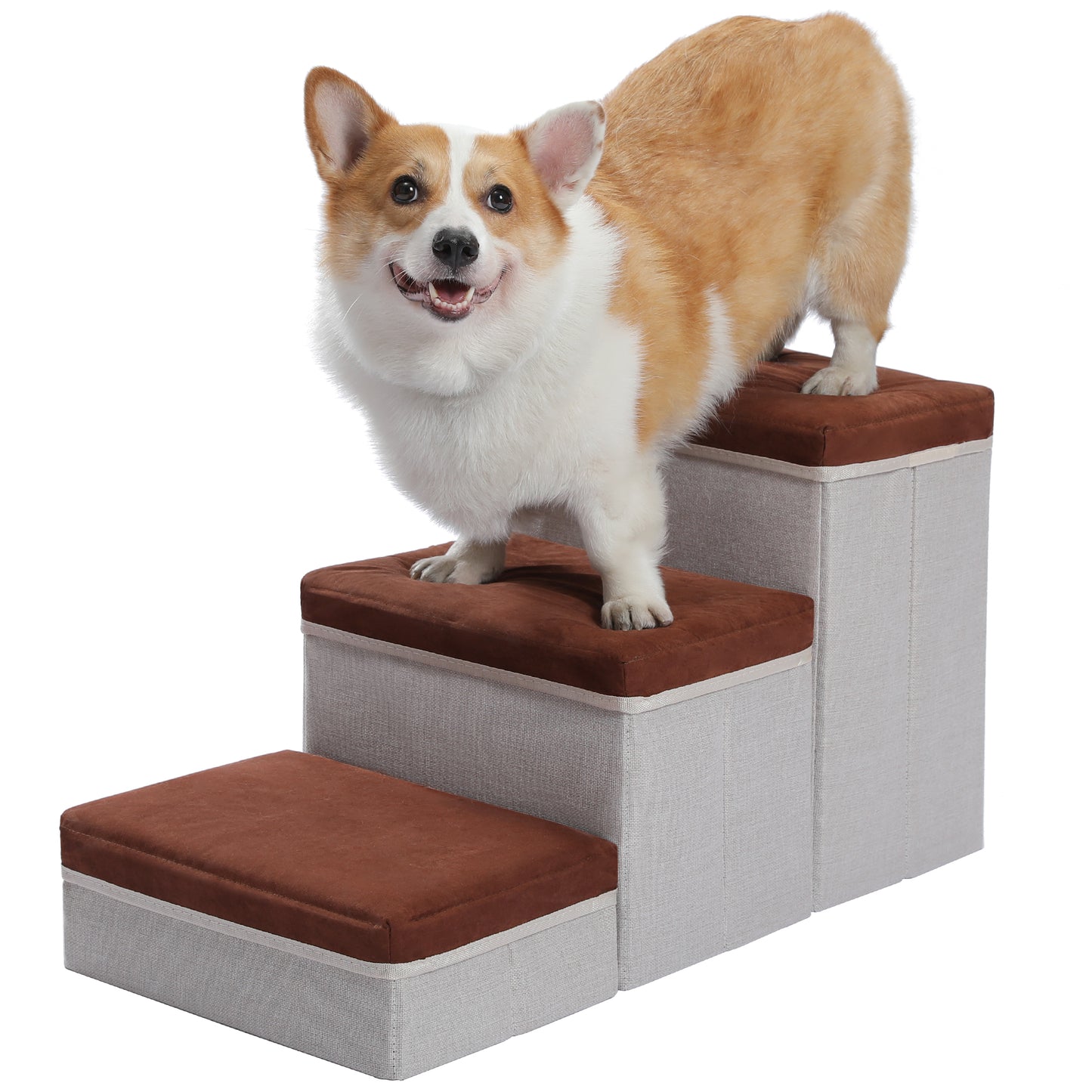 PETEPELA escaleras para perros con 3 compartimentos de almacenamiento – Plegable | escalera de seguridad antideslizante para perros y gatos | 3 niveles