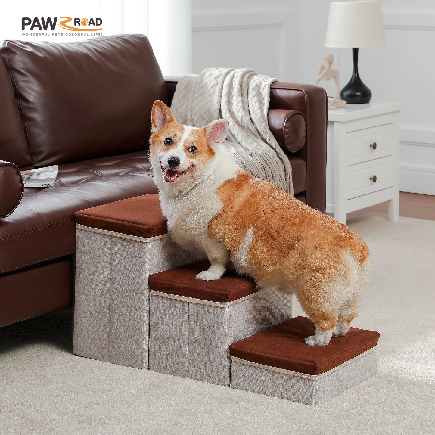 PETEPELA escaleras para perros con 3 compartimentos de almacenamiento – Plegable | escalera de seguridad antideslizante para perros y gatos | 3 niveles