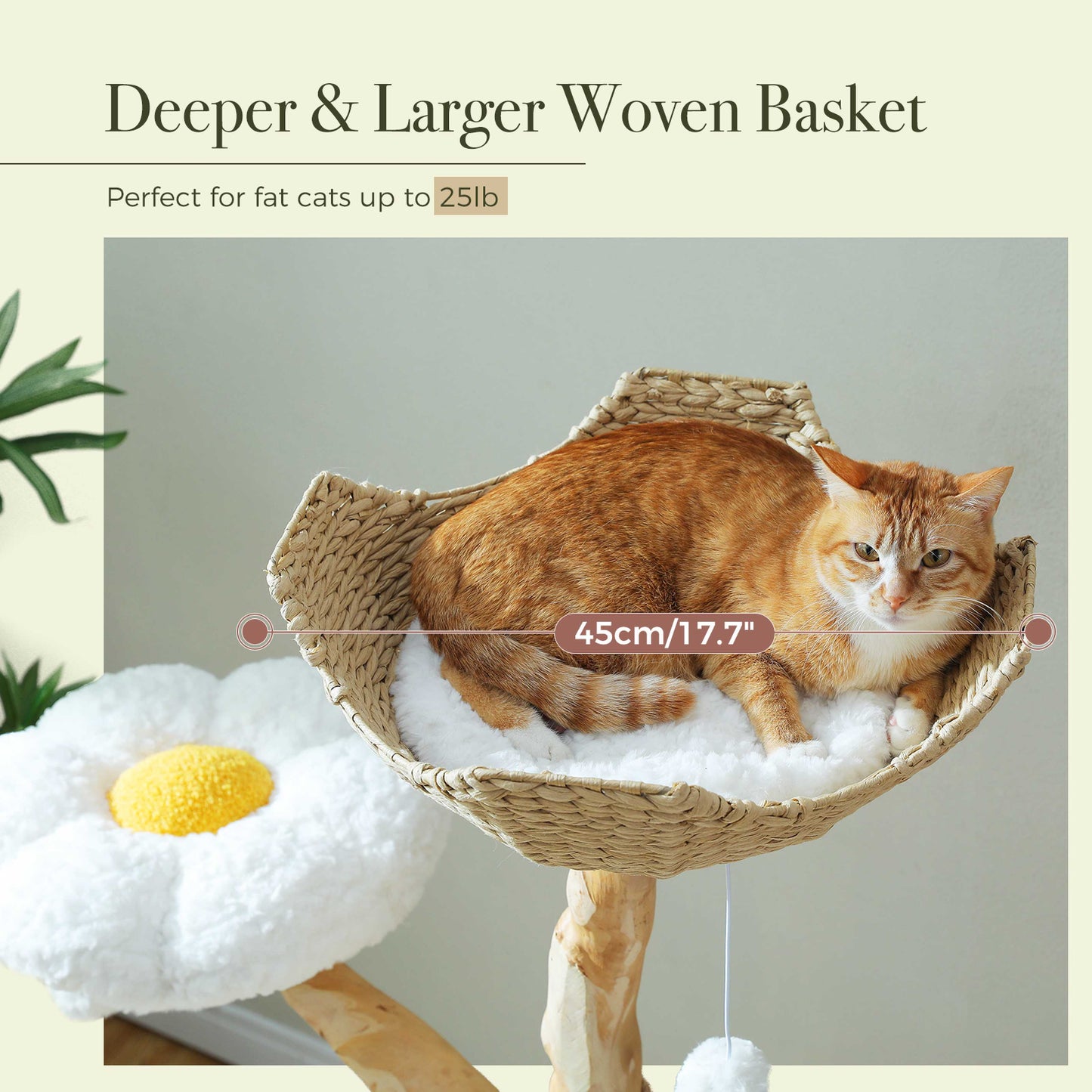 Modern cat climbing tower (for large cats) with 2 flower platforms | 150 cm | Natural scratching post made of solid wood with real branch | Luxury boho cat furniture with sleeping house + woven basket (cloud white)