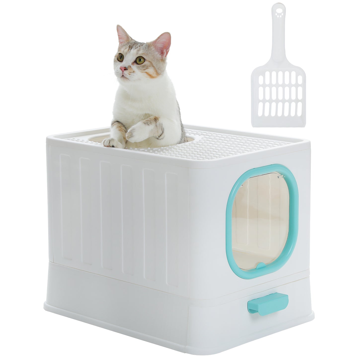 PAWZ Road litter box with deck exit and drawer | Floor entrance & deck exit prevents sand dragging + pull-out mechanism | Convex sand drain plate with ball design