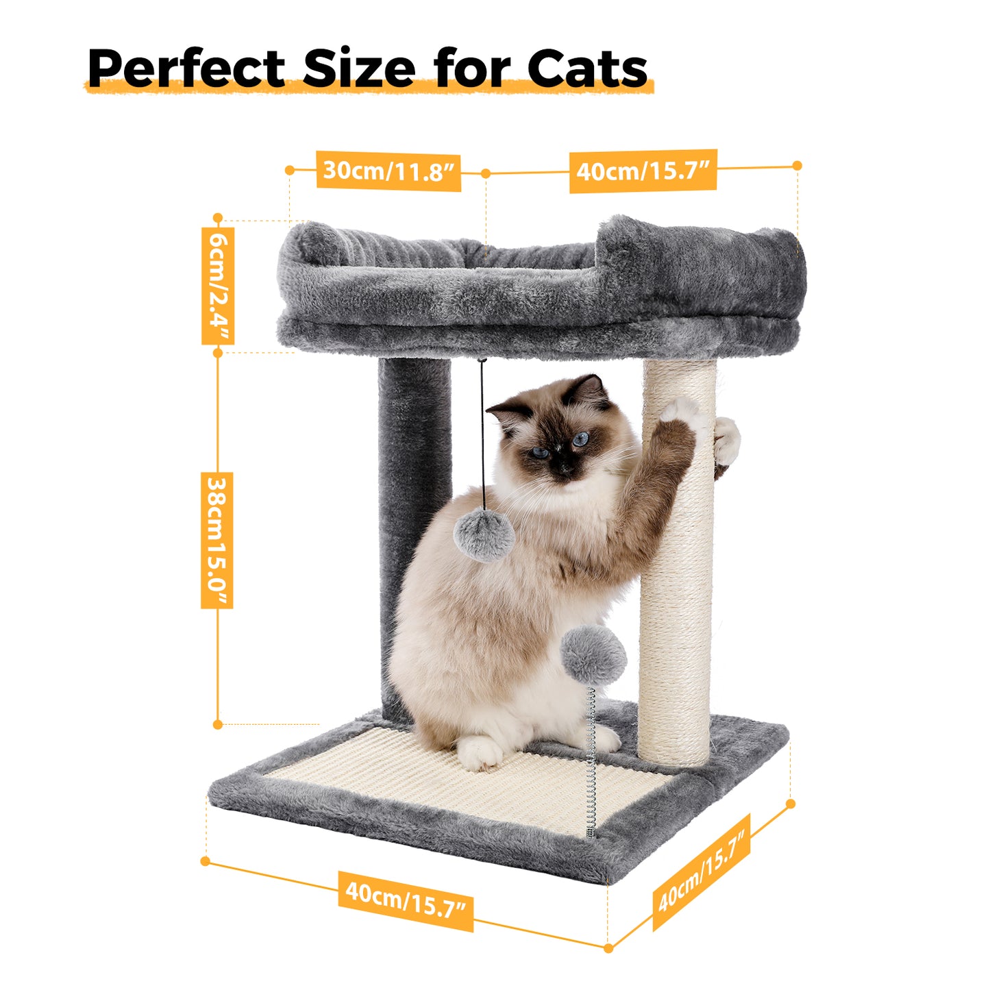 PAWZ Road Jouets Grattoirs Rond pour Chats Perchoir Lit
