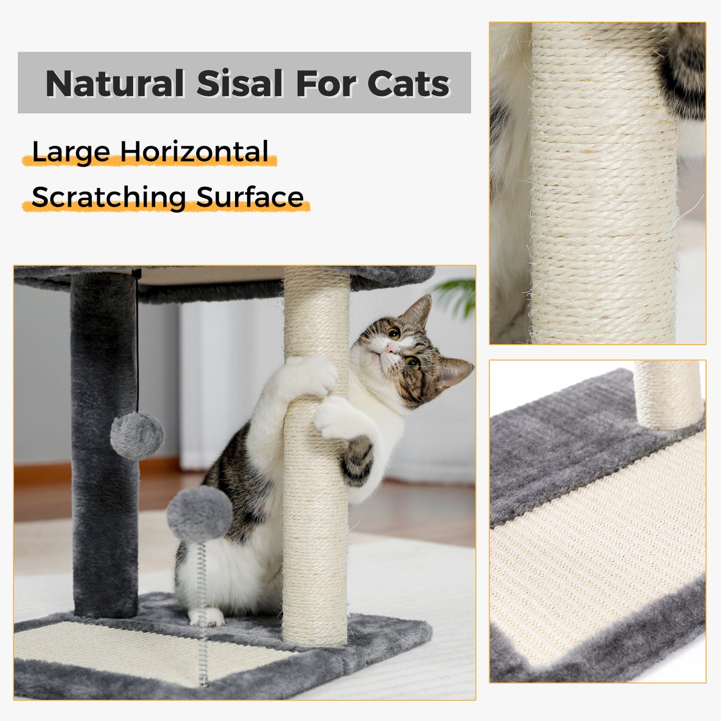 PAWZ Road Jouets Grattoirs Rond pour Chats Perchoir Lit