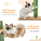 PAWZ Road Kaktus-Katzenkratzbaum | H?henverstellbar (241-274 cm) | Mit Sisal-Kratzs?ulen | Ideal f¨¹r Gro?katzen