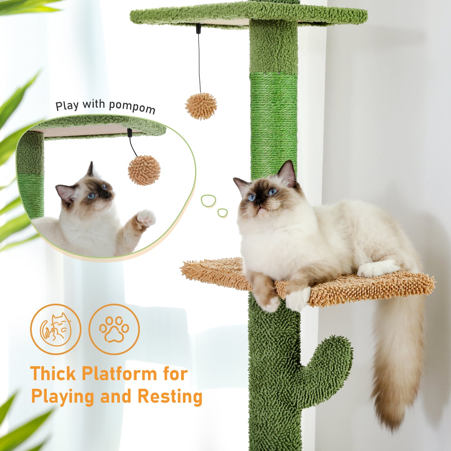 PAWZ Road Kaktus-Katzenkratzbaum | H?henverstellbar (241-274 cm) | Mit Sisal-Kratzs?ulen | Ideal f¨¹r Gro?katzen