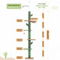 PAWZ Road Kaktus-Katzenkratzbaum | H?henverstellbar (241-274 cm) | Mit Sisal-Kratzs?ulen | Ideal f¨¹r Gro?katzen